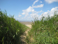 Ferienwohnung Nordsee-Blick Sahlenburg